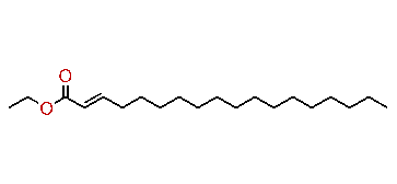 Ethyl octadecenoate